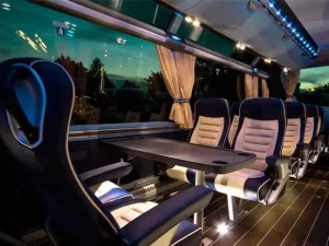 Bus VIP